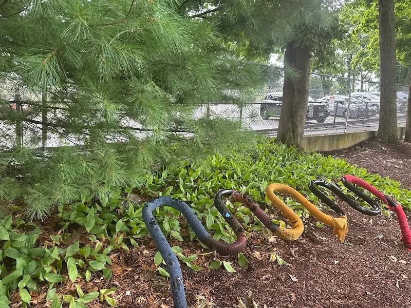 View of Crystal Lake in Newton, MA