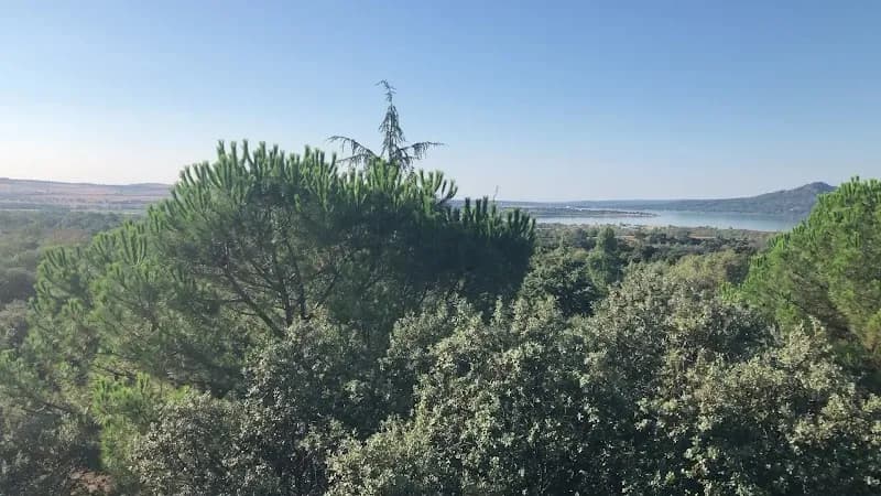 View of Cuenca Alta del Manzanares Regional Park in Alcobendas, Madrid