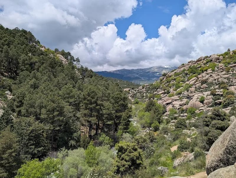 View of Cuenca Alta del Manzanares Regional Park in Alcobendas, Madrid