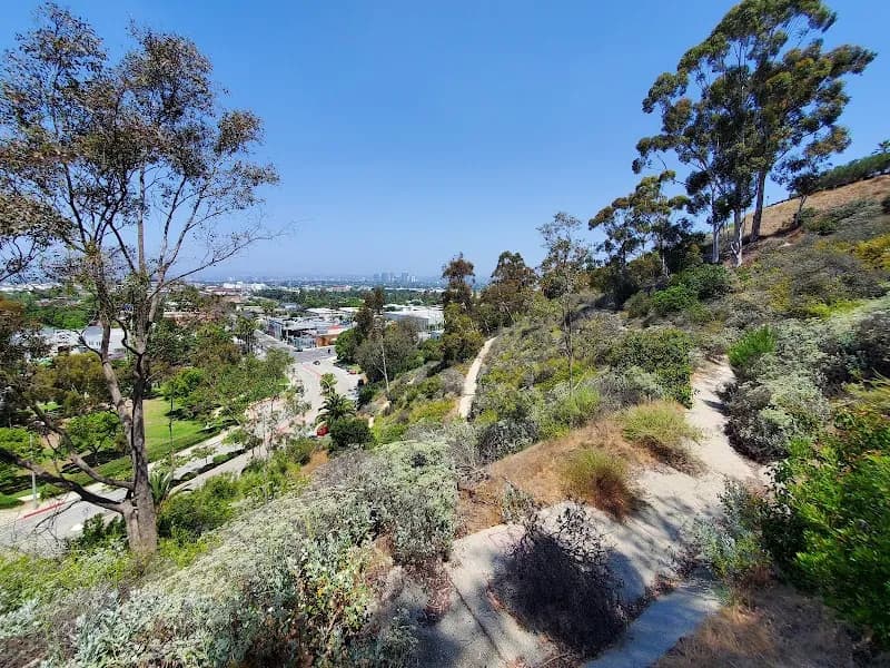 View of Culver City Park in Culver City, CA