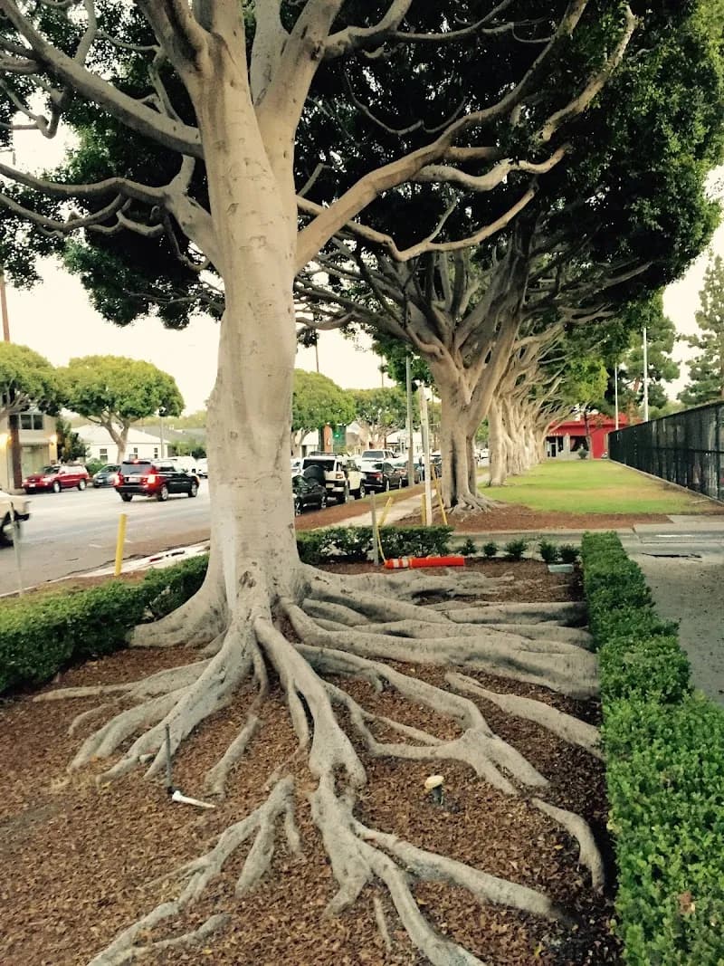 View of Culver City Teen Center in Culver City, CA