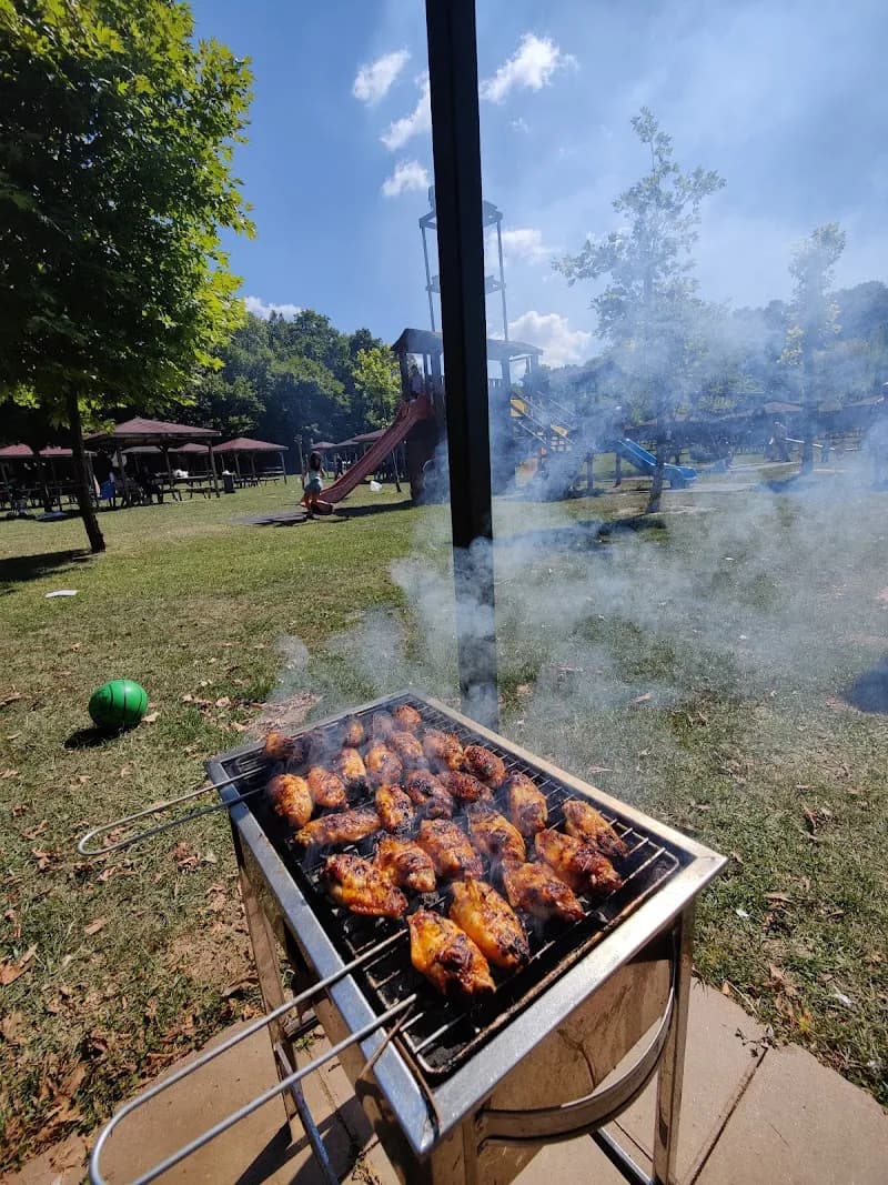 View of Cumhuriyet Park Et Mangal Piknik Alanı in Maslak, Istanbul