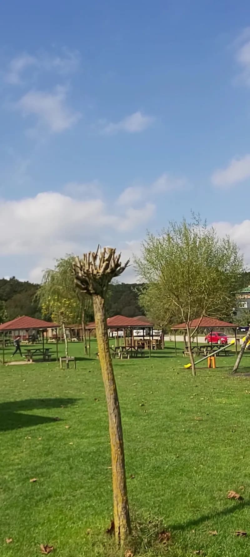 View of Cumhuriyet Park Et Mangal Piknik Alanı in Maslak, Istanbul