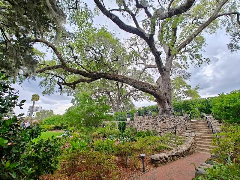 View of Cummer Museum of Art & Gardens in Tampa, FL