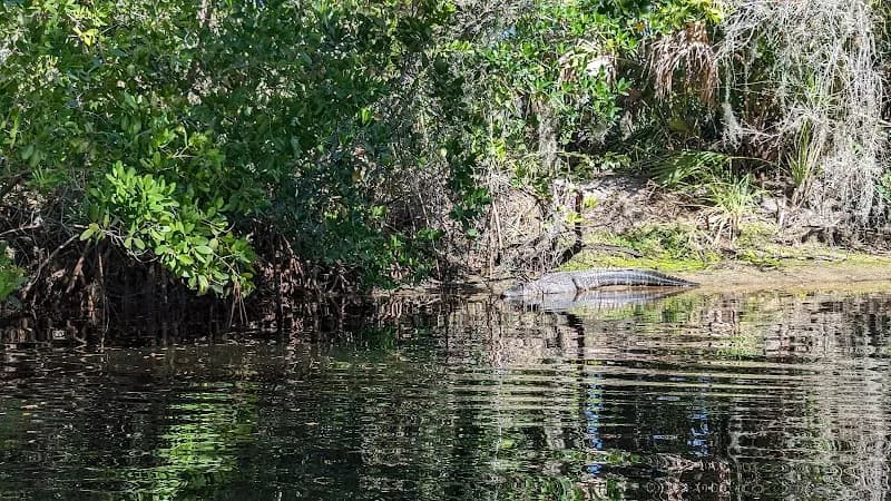 View of Curry Creek Preserve: West Entrance in Sarasota, FL