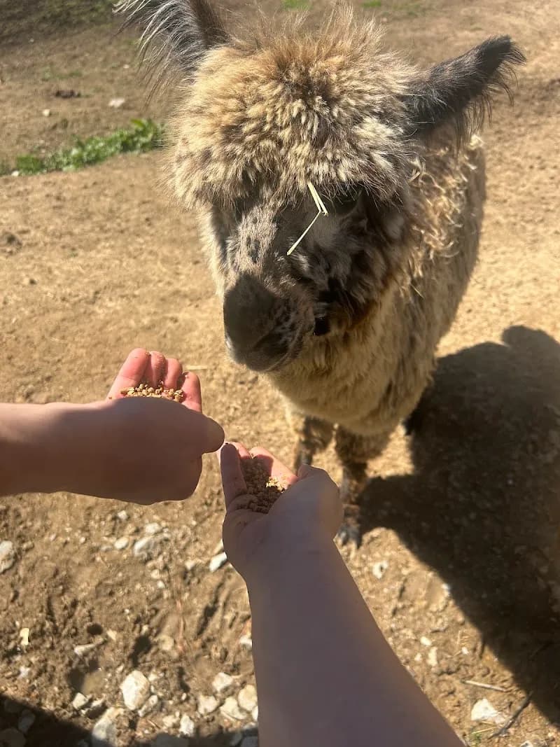 View of CW Farms Petting Zoo in Knoxville, TN
