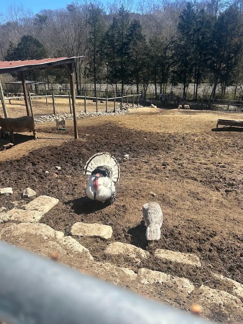 View of CW Farms Petting Zoo in Knoxville, TN