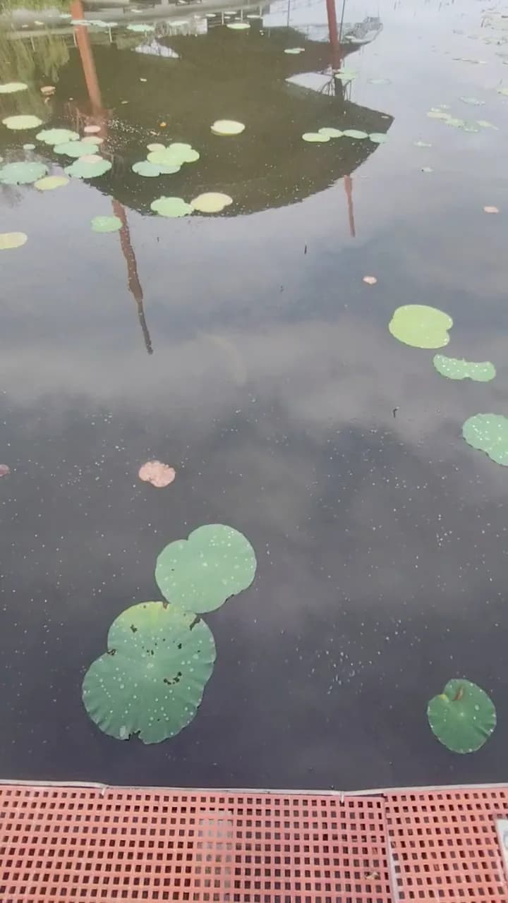 View of Cyberjaya Lake Park in Cyberjaya, SG