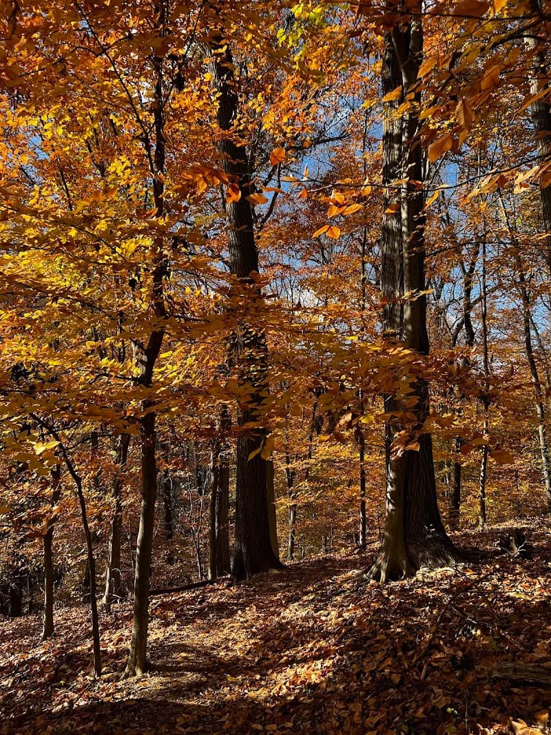 View of Cylburn Arboretum in Baltimore, MD
