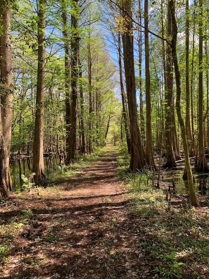 View of Cypress Creek Preserve in Valrico, FL