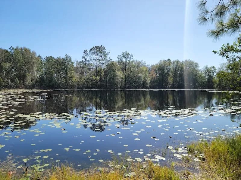 View of Cypress Creek Preserve in Valrico, FL