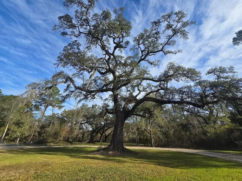 View of Cypress Island Preserve in Lafayette, LA