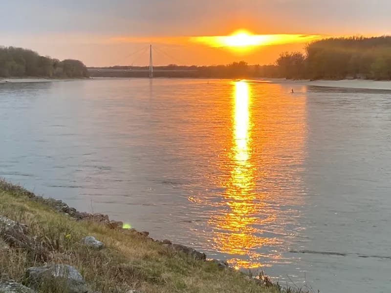 View of Danube-Auen National Park in Deutsch-Wagram, VIE