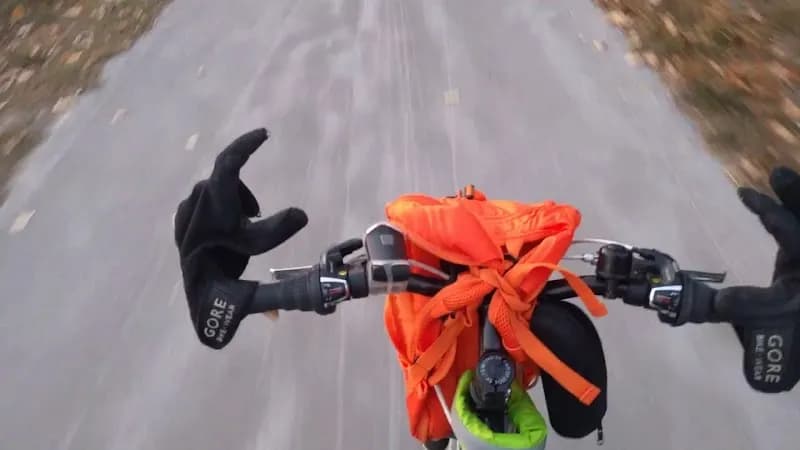 View of Danube-Auen National Park in Deutsch-Wagram, VIE