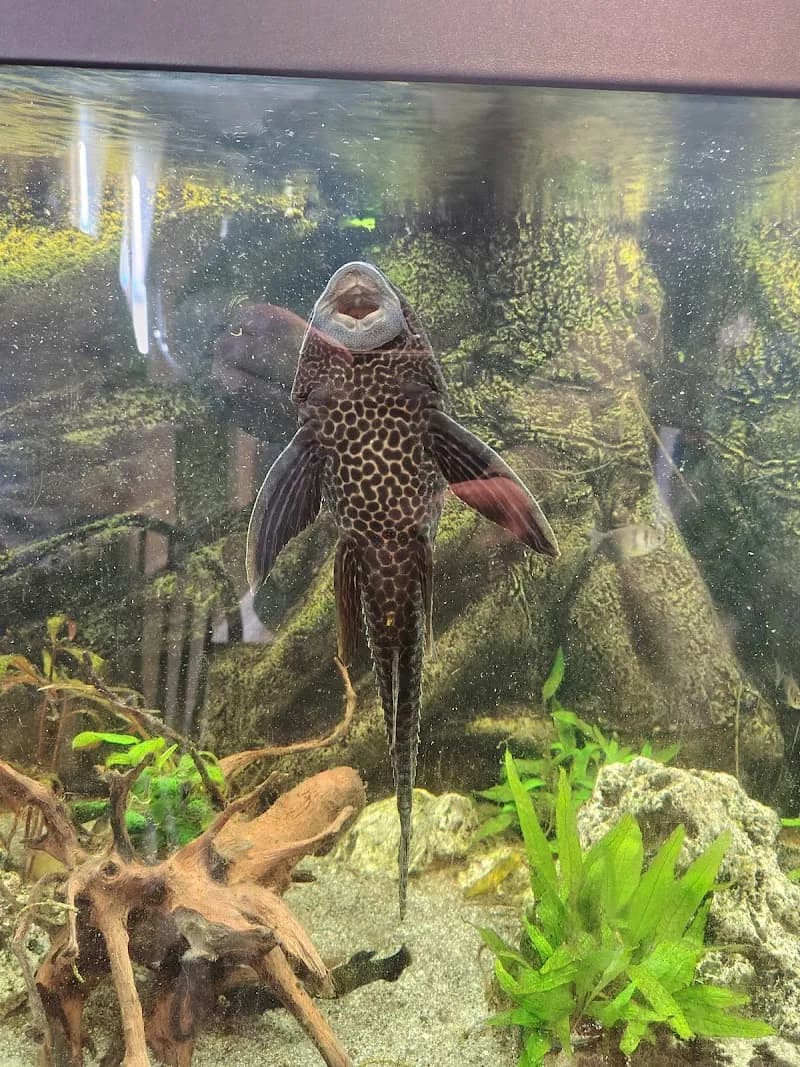 View of Darwin Park in Zaanstad, NH