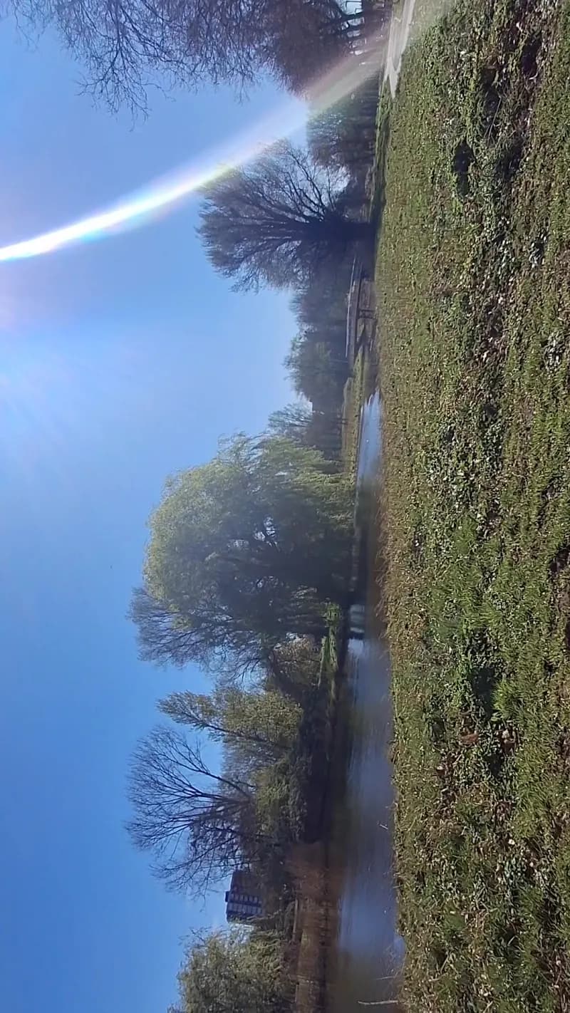 View of Darwin Park in Zaanstad, NH