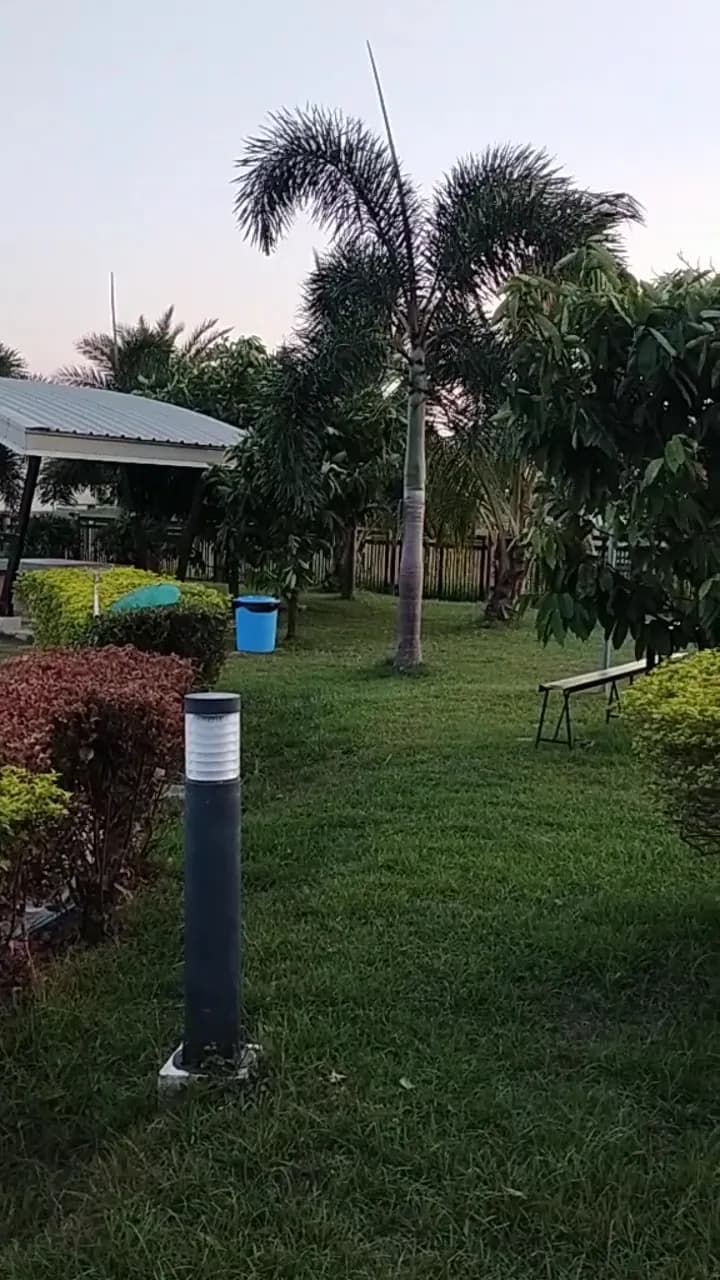 Dasmariñas Community Swimming Pool swimming in Dasmariñas, NCR