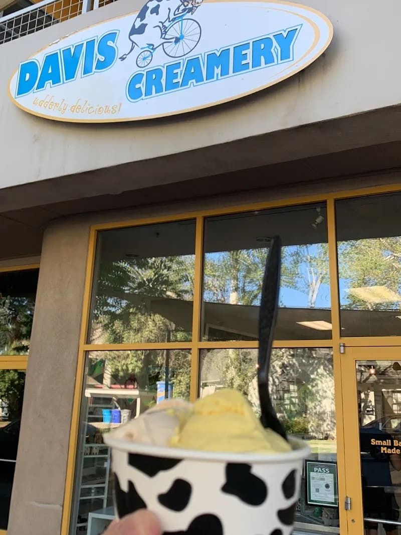 Davis Creamery Ice Cream & Frozen Yogurt in Davis, CA