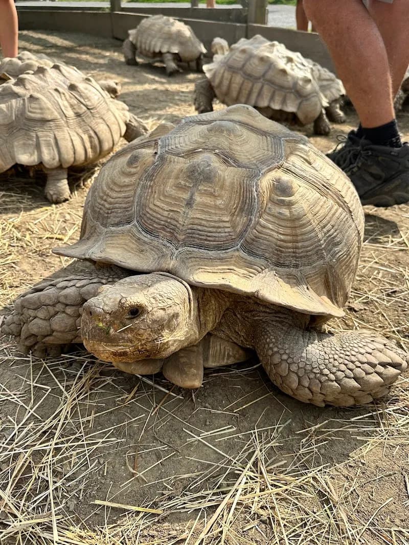 View of Davis Farmland in Boston, MA
