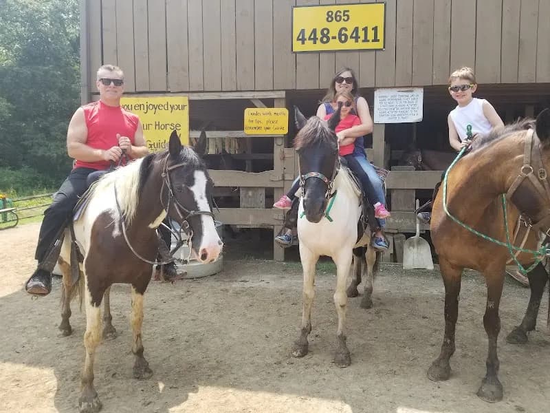 View of Davy Crockett Riding Stables in Townsend, TN