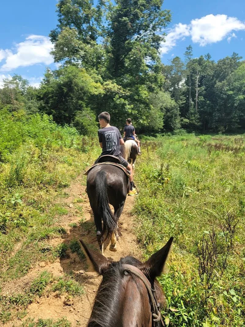 View of Davy Crockett Riding Stables in Townsend, TN