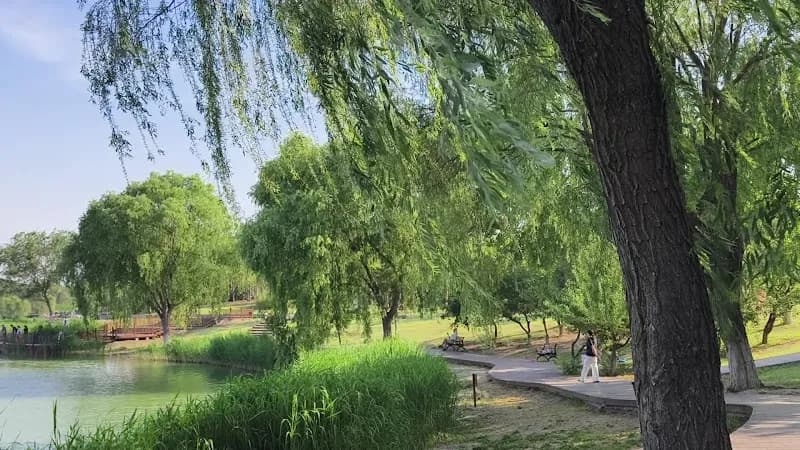 View of Daxing District Children's Park in Daxing District, Beijing