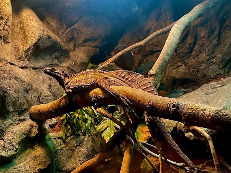 View of Daytona Aquarium & Rainforest Adventure in Daytona Beach, FL