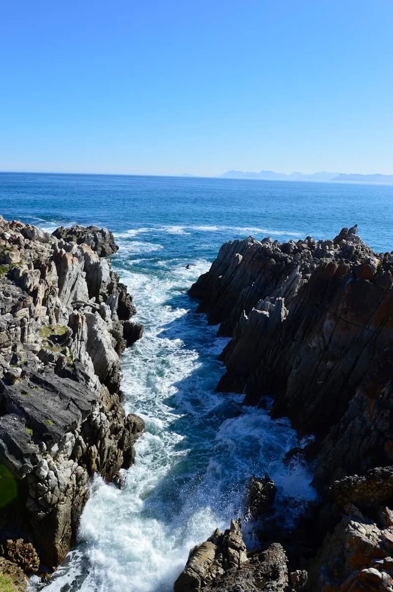 De Kelders Canteen cafe in Hermanus, WC