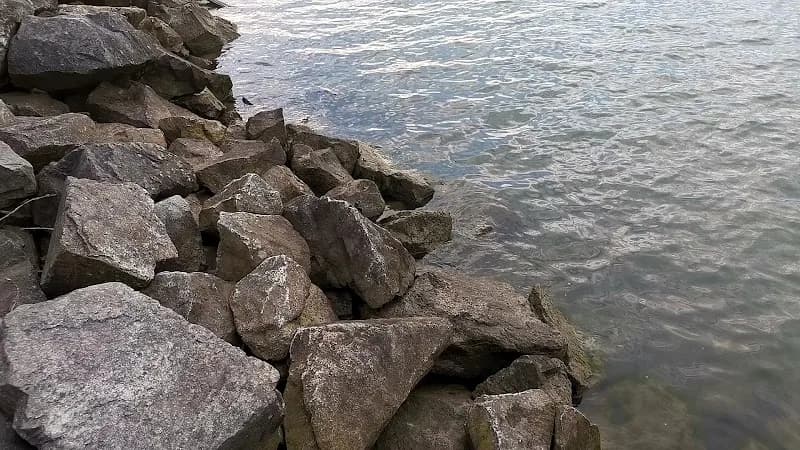 View of Deas Island Regional Park in South Delta, BC