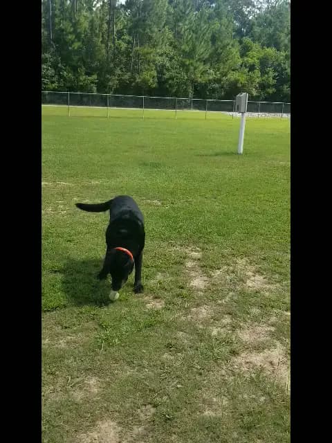 View of Del Porto Ristorante in Covington, LA