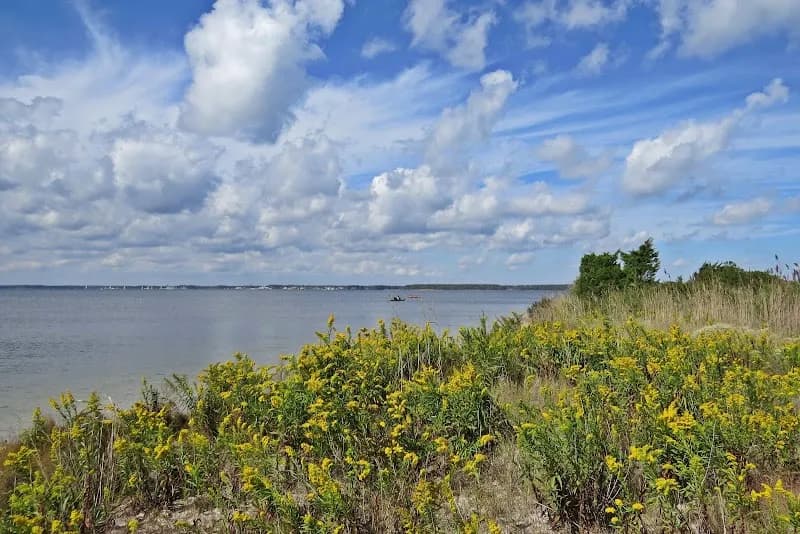 Delaware Center for the Inland Bays non profit organization in Rehoboth Beach, DE