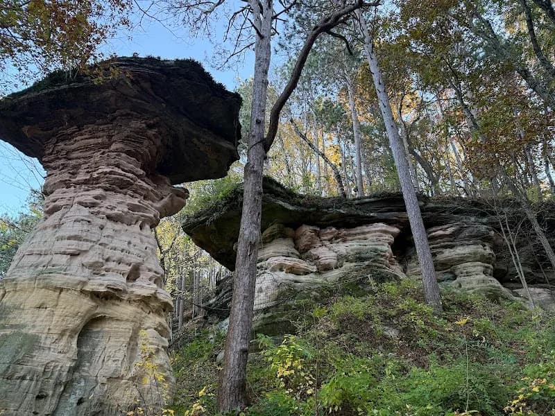 View of Dells Boat Tours in Wisconsin Dells, WI