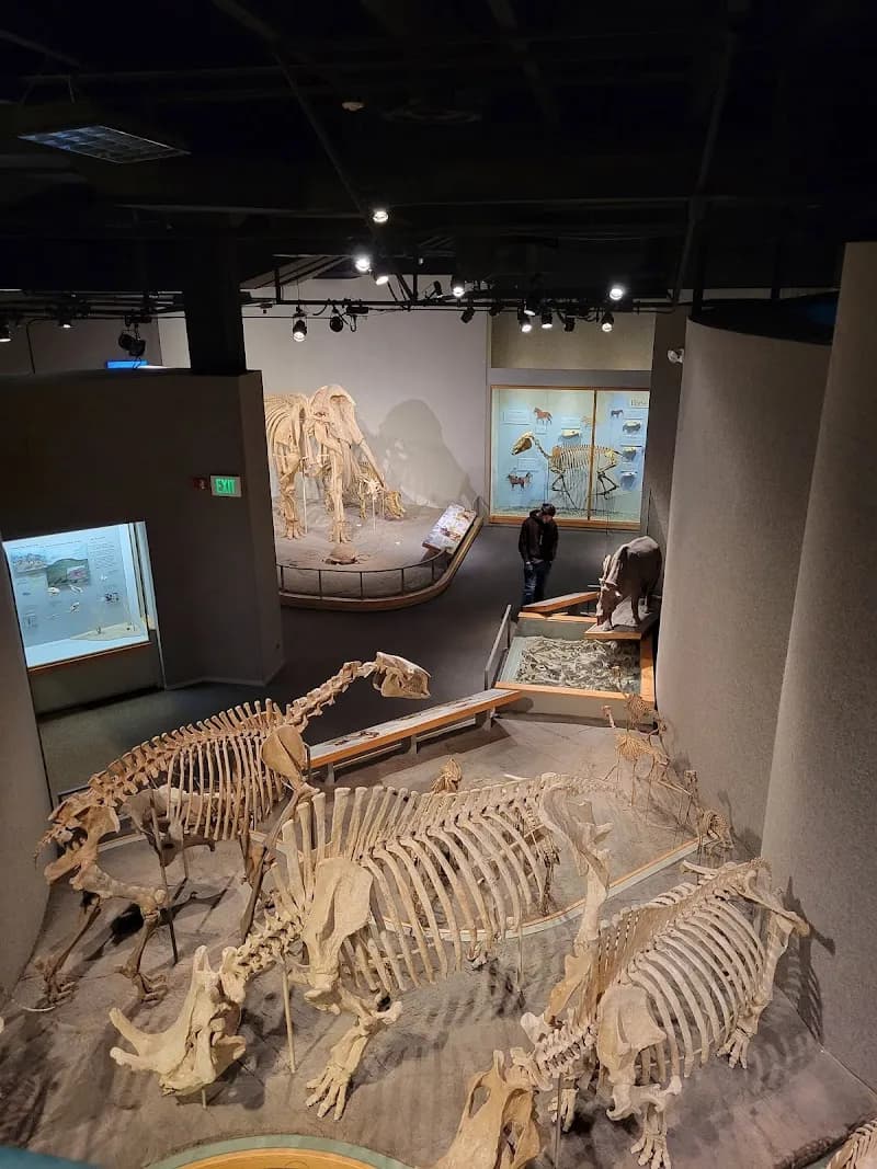 View of Denver Museum of Nature & Science in Denver, CO