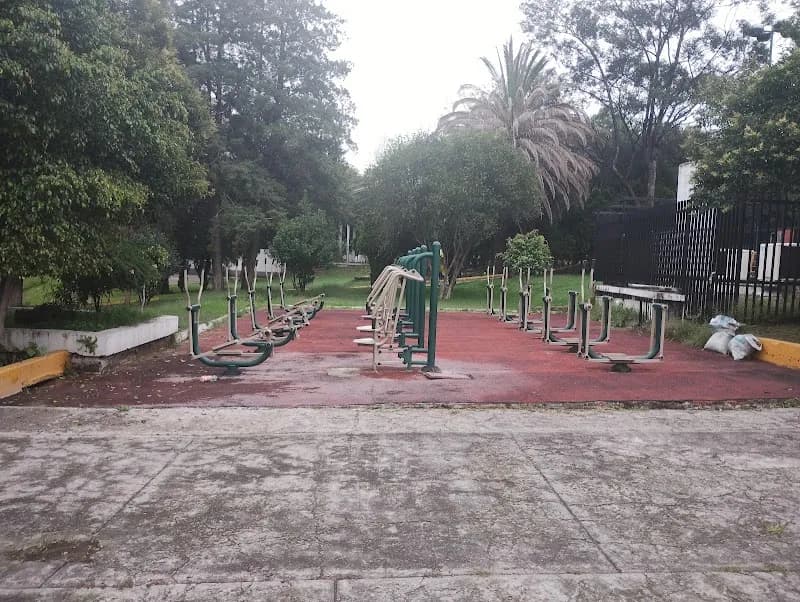 Deportivo Tlalnepantla sports club in Tlalnepantla, Edomex