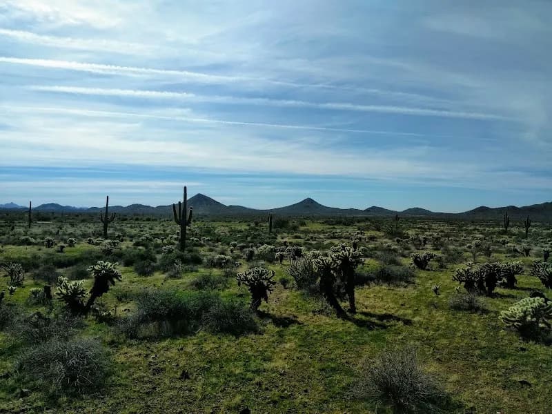 View of Desert Willow Park in Seven Hills, NV