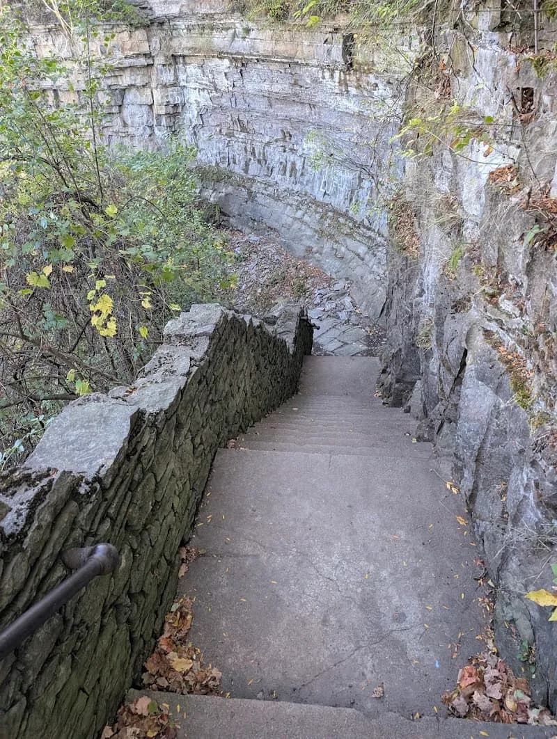 View of Devil's Hole State Park in Lewiston, NY