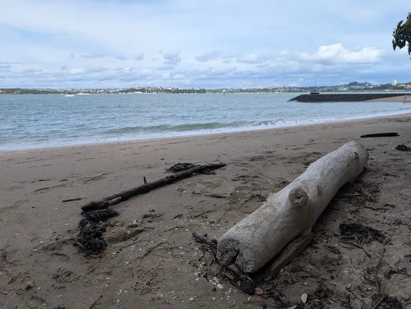 View of Devonport Library in Devonport, AKL