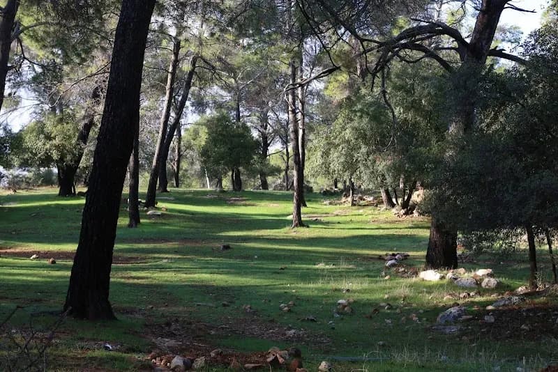 Dibbeen Forest Reserve nature preserve in Jerash, Amman