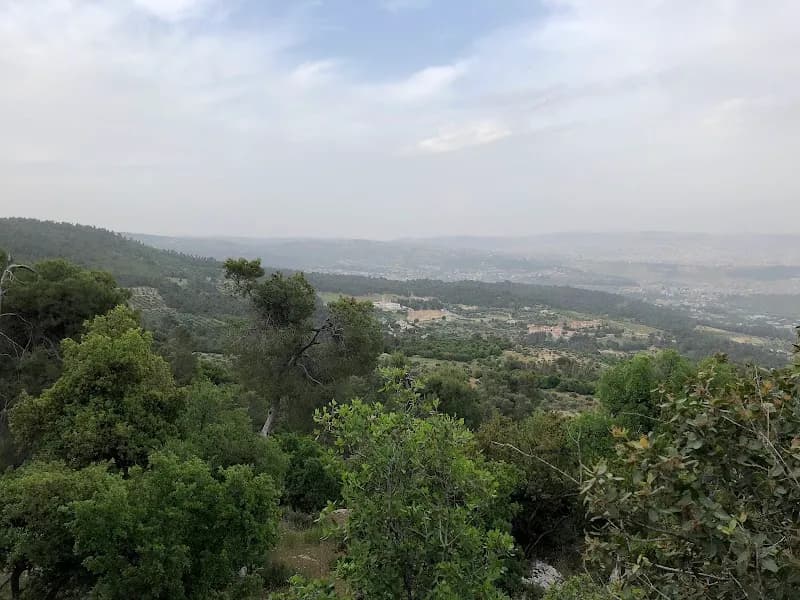 View of Dibbeen Forest Reserve in Jerash, Amman