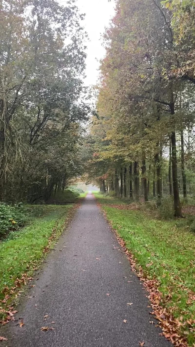 View of Diemerbos in Diemen, NH