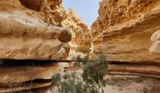 Digla Park park in Maadi, Cairo