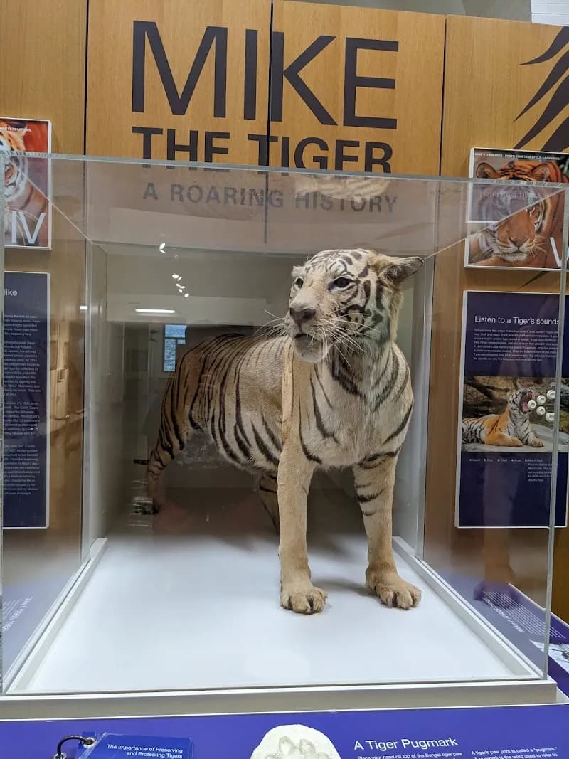 Dinosaur Park attraction in Baton Rouge, LA