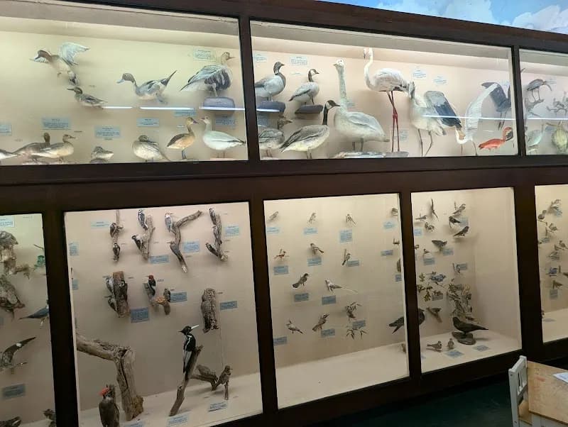 View of Dinosaur Park in Baton Rouge, LA