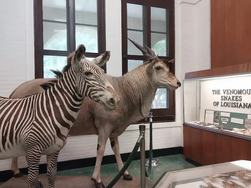 View of Dinosaur Park in Baton Rouge, LA