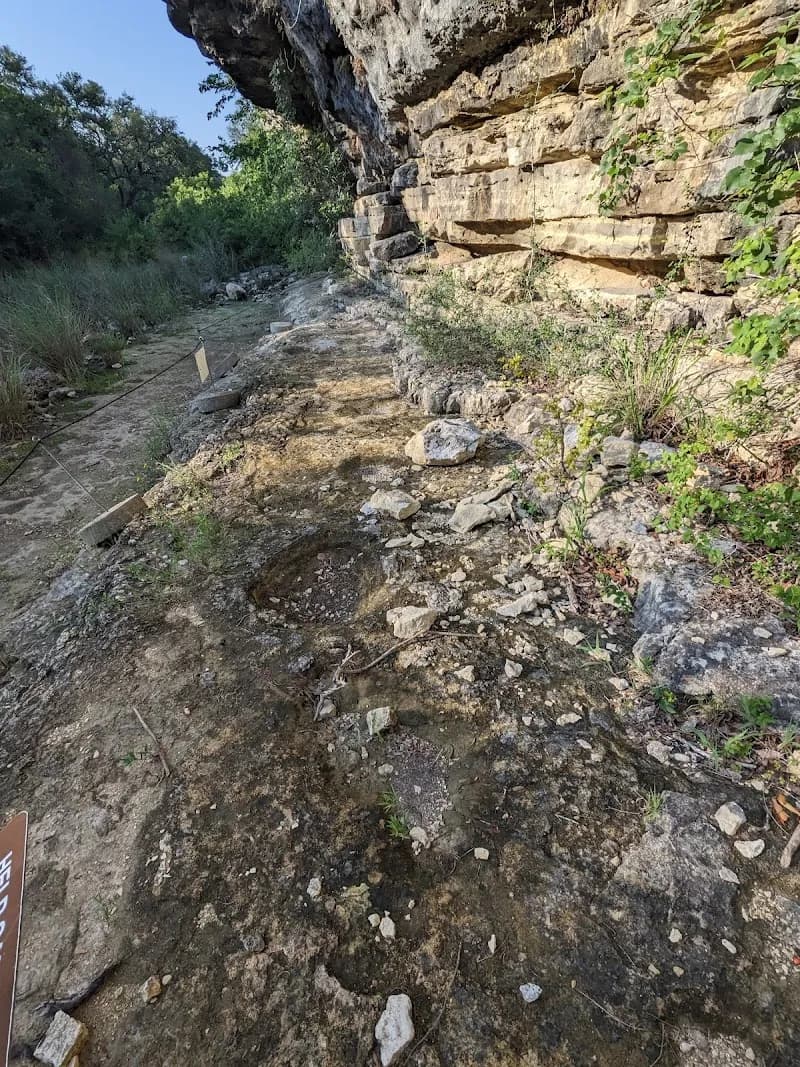 Dinosaur Tracks in Government Canyon historical landmark in Bulverde, TX
