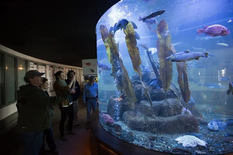 View of DIPAC Macaulay Salmon Hatchery in Juneau, AK