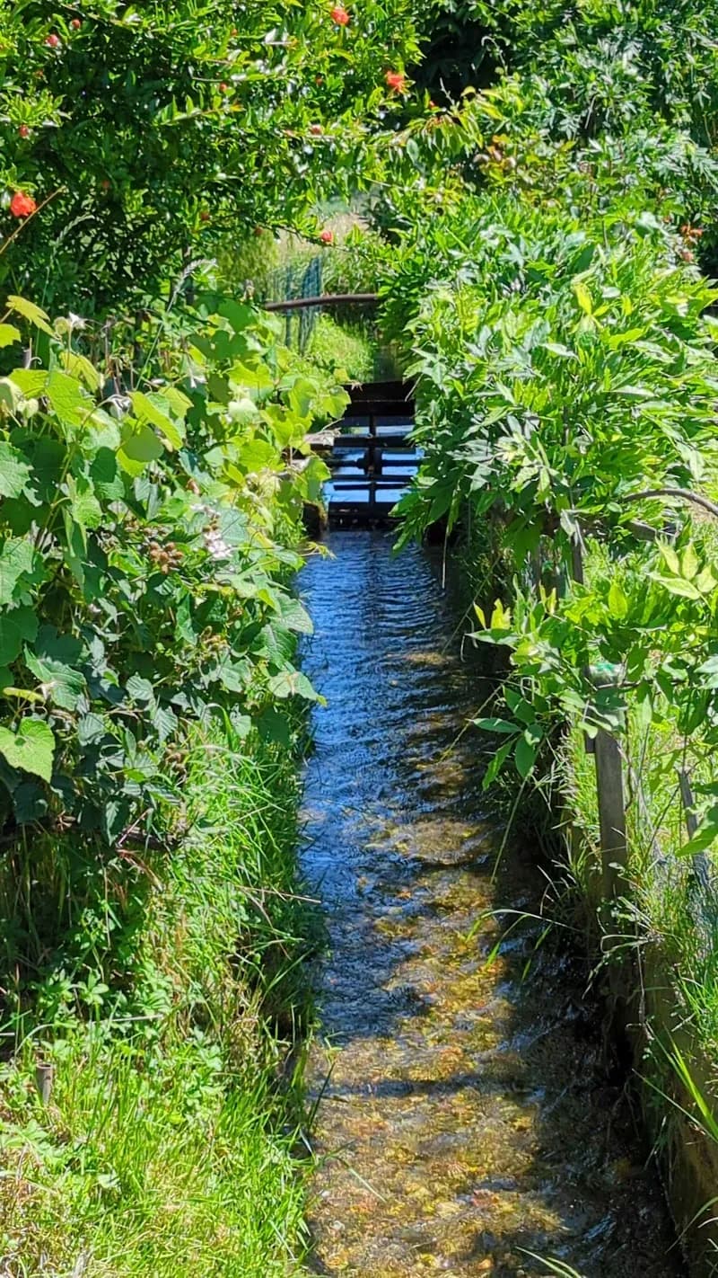 View of Direct sale Cascina San Donato in San Donato Milanese, Lombardy