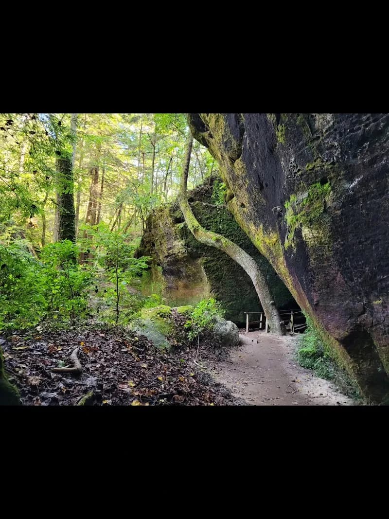 View of Dismals Canyon in Fort Payne, AL