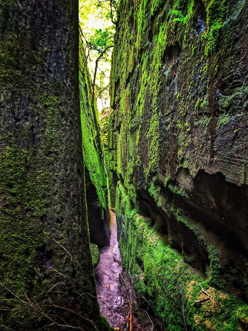 View of Dismals Canyon in Fort Payne, AL