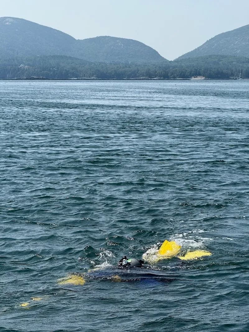 View of Diver Ed's Dive-In Theatre in Bar Harbor, ME
